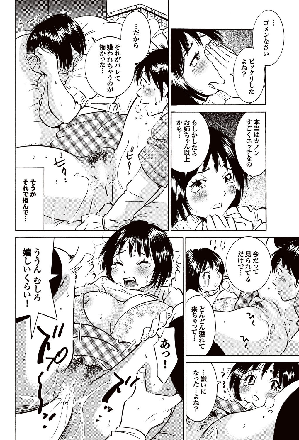[雑誌] COMICプルメロ 2007年02月号 Vol.4 [DL版]