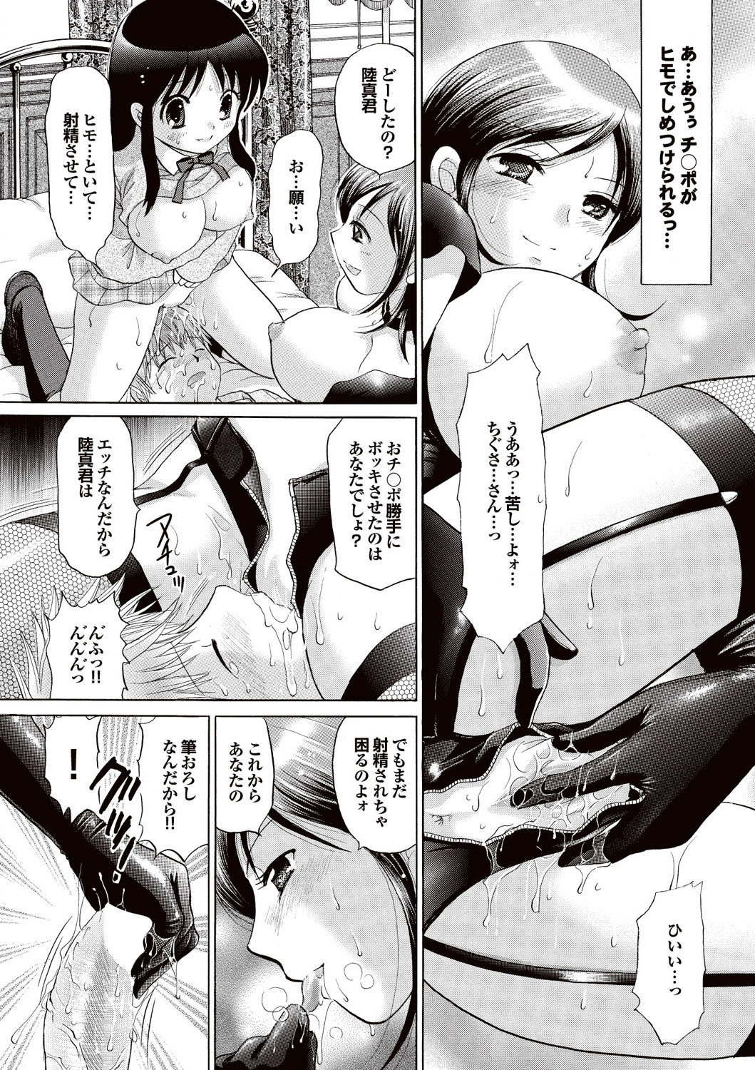 [雑誌] COMICプルメロ 2007年02月号 Vol.4 [DL版]