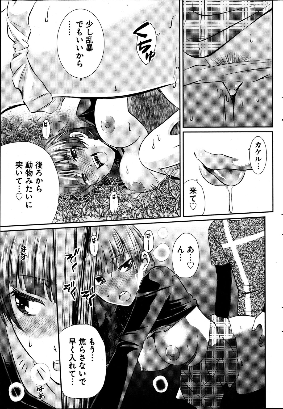 ヤングコミック 2013年4月号