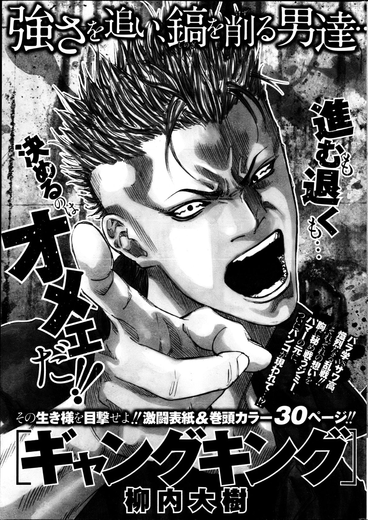 ヤングコミック 2013年4月号