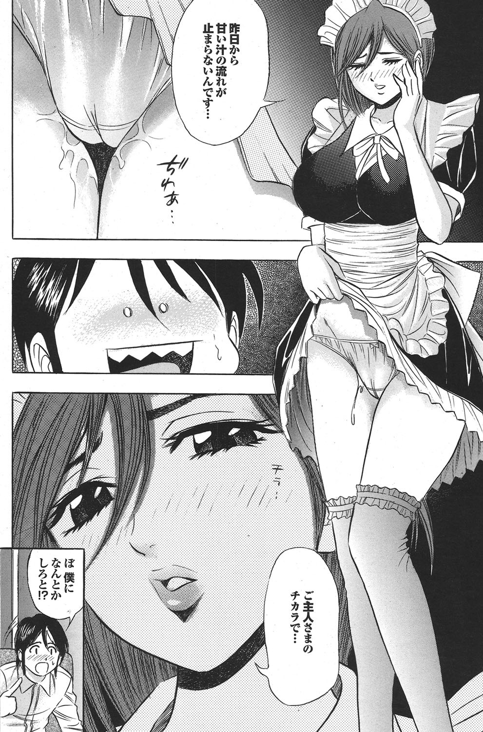 [雑誌] COMICプルメロ 2006年12月号 Vol.3 [DL版]