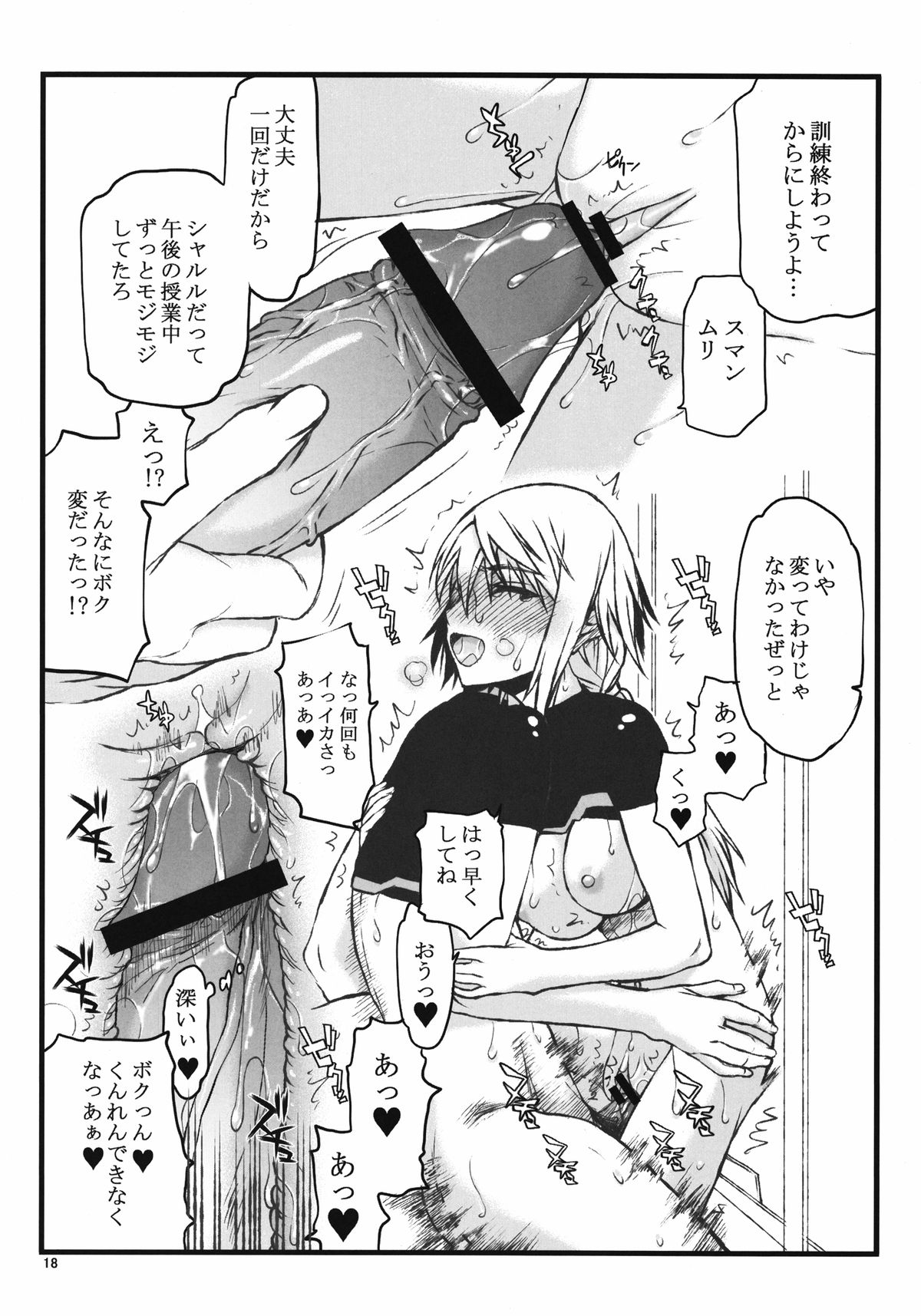 [虚無の歌 (佐藤登志雄)] IF episode02 (インフィニット・ストラトス) [DL版]