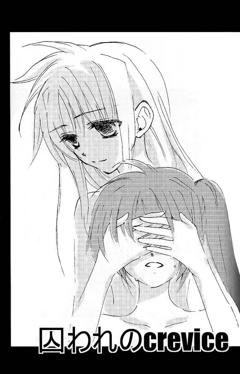 【高倉。 （光作）]ファインカラーデー（魔法少女リリカルなのは）[英語]（NanoFate）