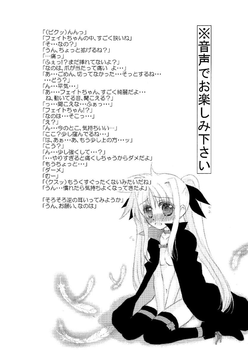 【高倉。 （光作）]ファインカラーデー（魔法少女リリカルなのは）[英語]（NanoFate）