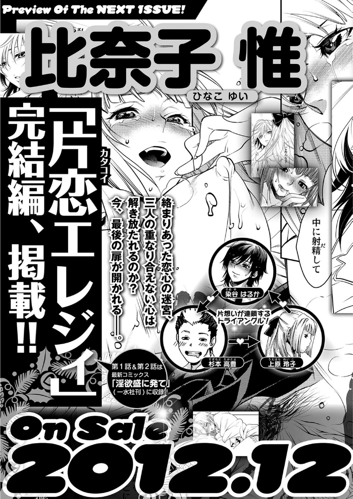 純愛果実 2013年1月号 [DL版]