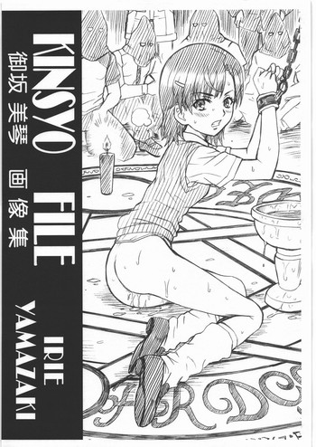 (C80) [RAT TAIL (IRIE YAMAZAKI)] KINSYO FILE 御坂美琴 画像集 (とある魔術の禁書目録)