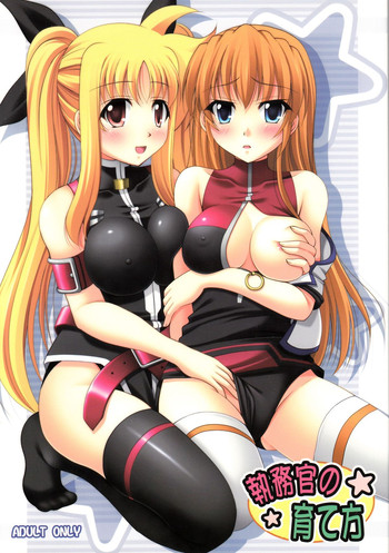 (COMIC1☆3) [K-Drive (鳴滝しん)] 執務官の育て方 (魔法少女リリカルなのは)