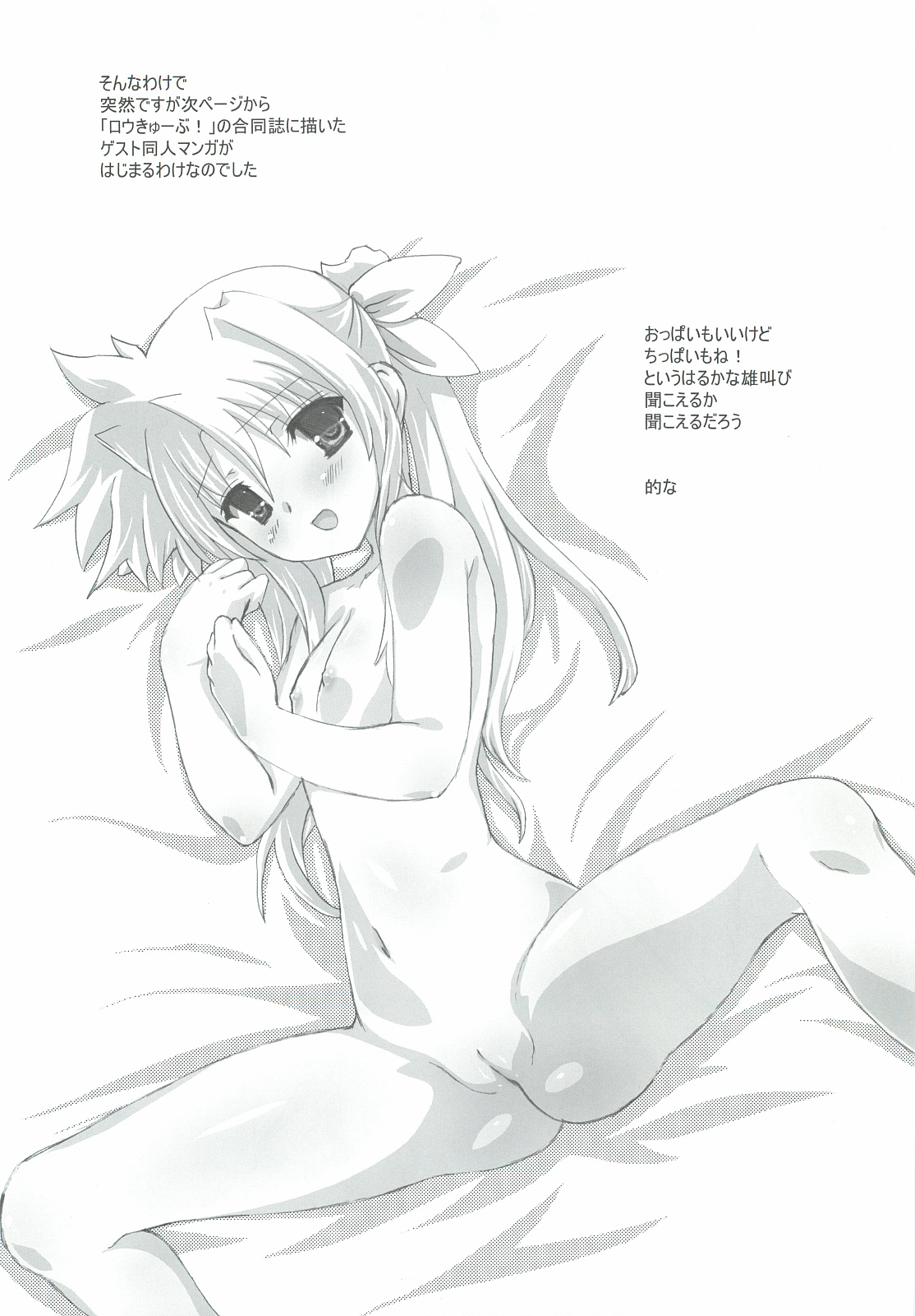 (サンクリ57) [てすた厨房 (てすた)] Prominence／Providence (魔法少女リリカルなのは)