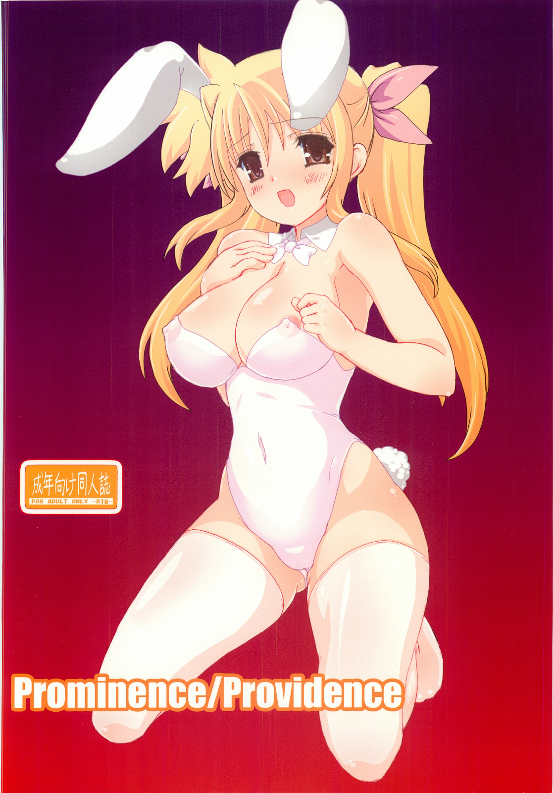 (サンクリ57) [てすた厨房 (てすた)] Prominence／Providence (魔法少女リリカルなのは)