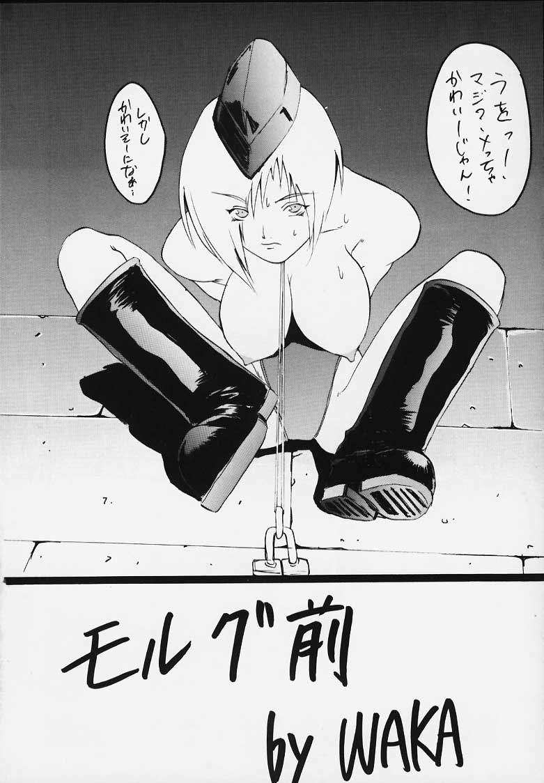 [てーるおぶにやりー (WAKA)] SP02 (ストリートファイター)