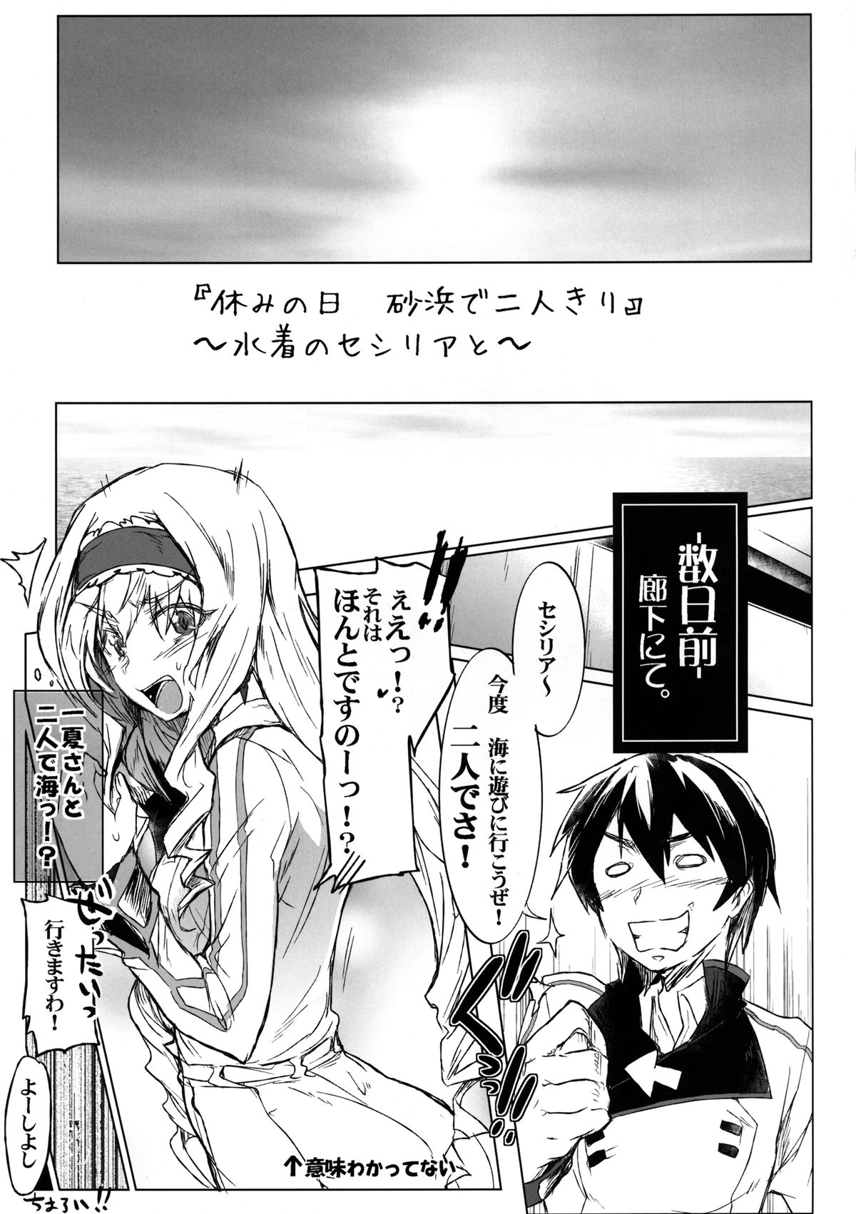 [RIBI堂 (陽方暁)] IS Girls 2 (IS＜インフィニット・ストラトス＞) [DL版]