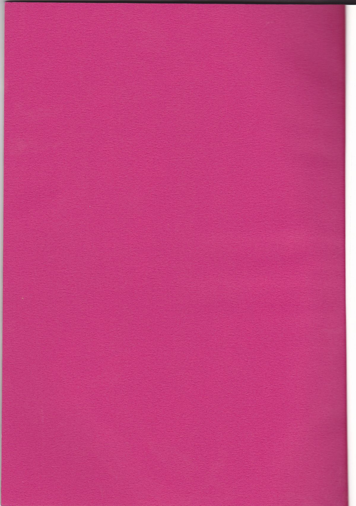 (サンクリ30) [子供警備隊 (影木栄貴)] 裏アスラン。～アスランが女の子になっちゃった!?～ (機動戦士ガンダムSEED DESTINY)