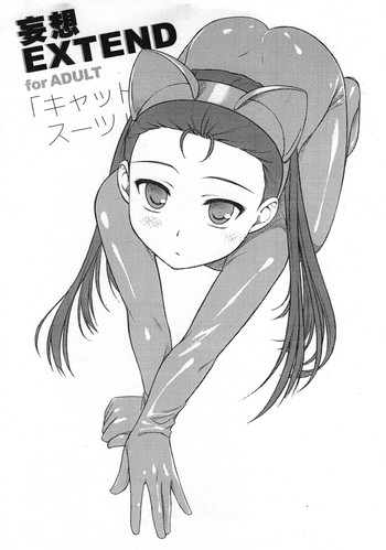 (COMIC1☆4) [Flavor Graphics (瑞井鹿央)] 妄想EXTEND (THE IDOLM@STER)