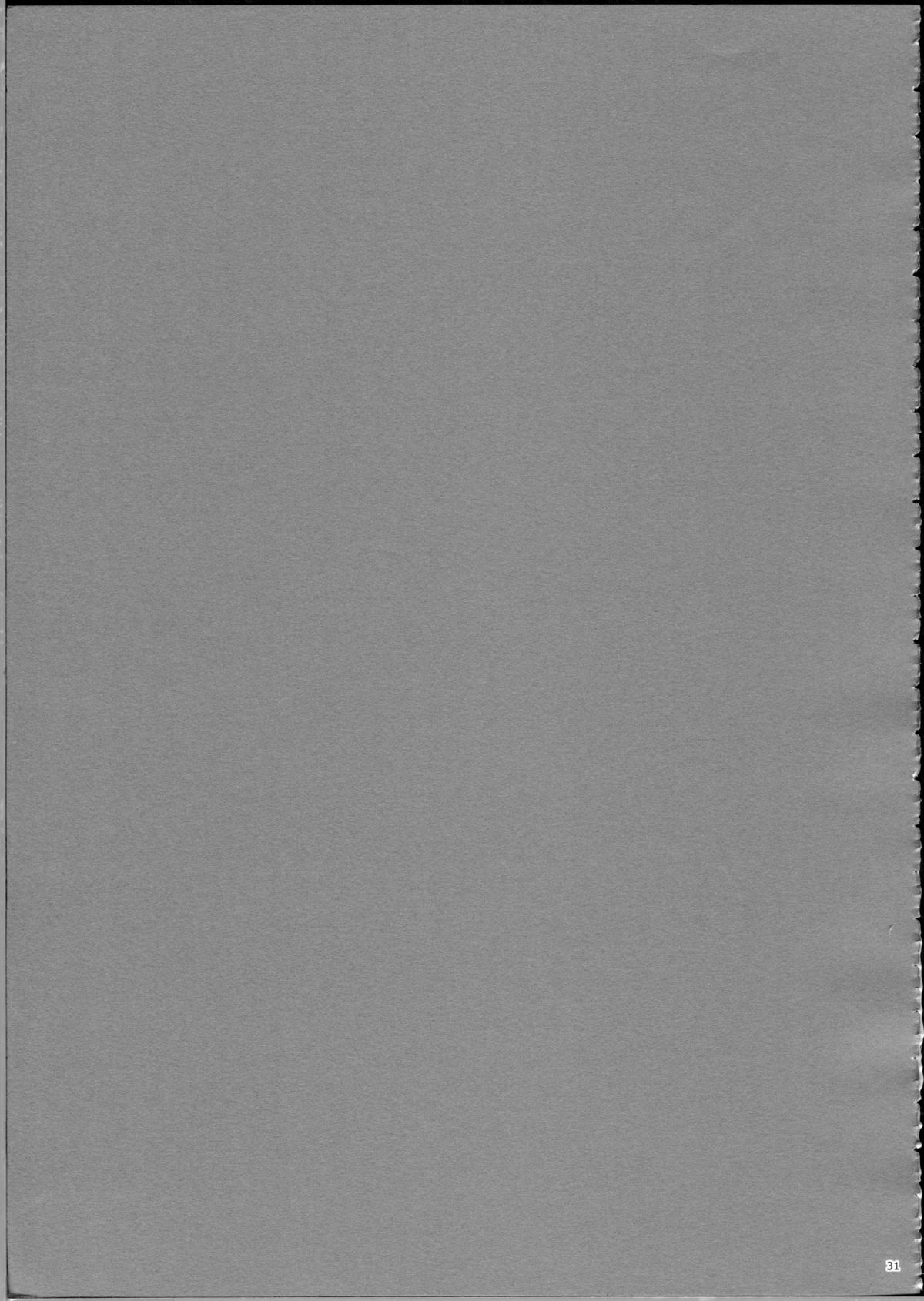 (C80) [r.i.s factory (るしゅーと)] PURPLE STORM (IS＜インフィニット・ストラトス＞)