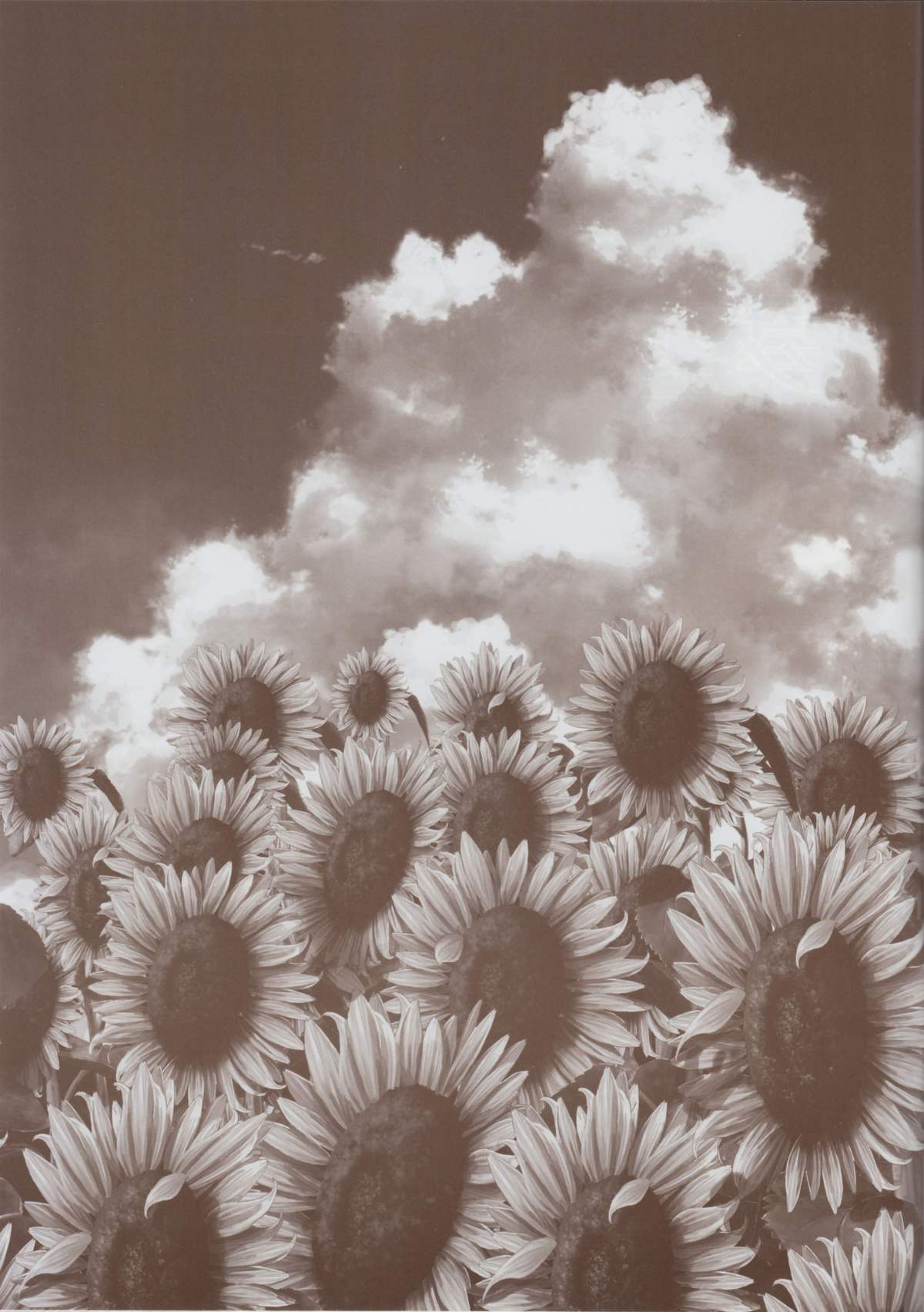 [minori] 夏空のペルセウス 豪華版おまけ冊子