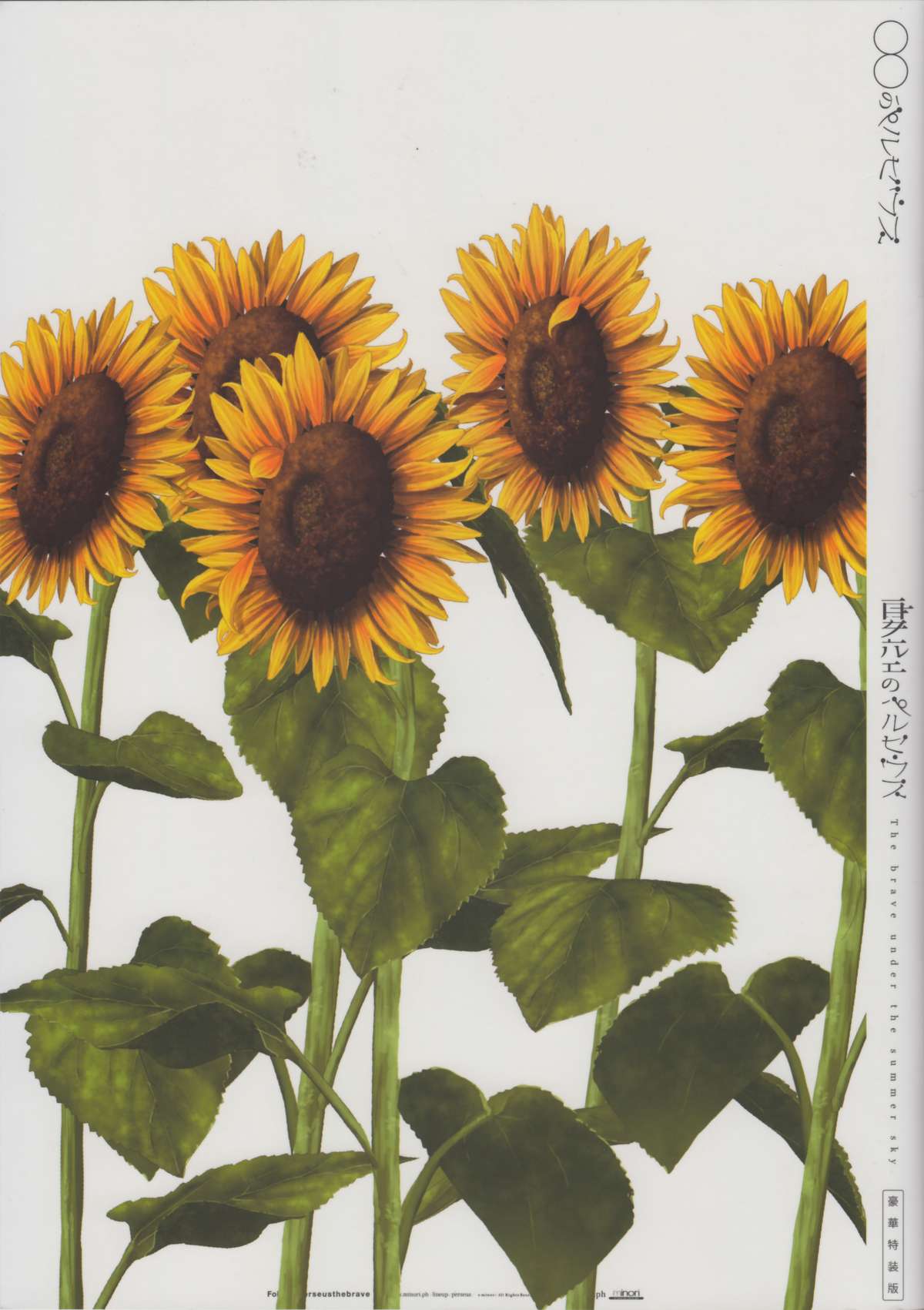 [minori] 夏空のペルセウス 豪華版おまけ冊子