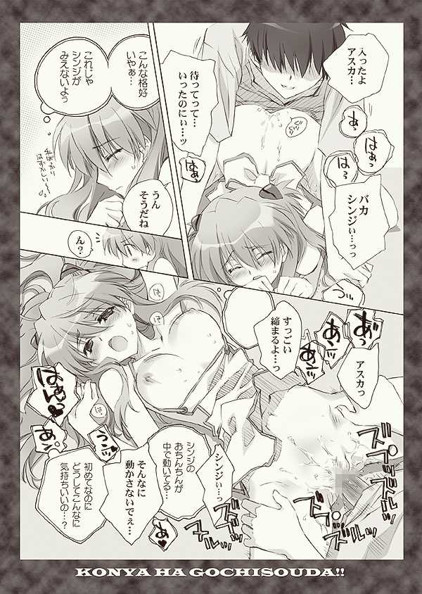 (C76) [CARNELIAN] 全部もれなく食べ尽くしなさいよ馬鹿シンジ (新世紀エヴァンゲリオン)