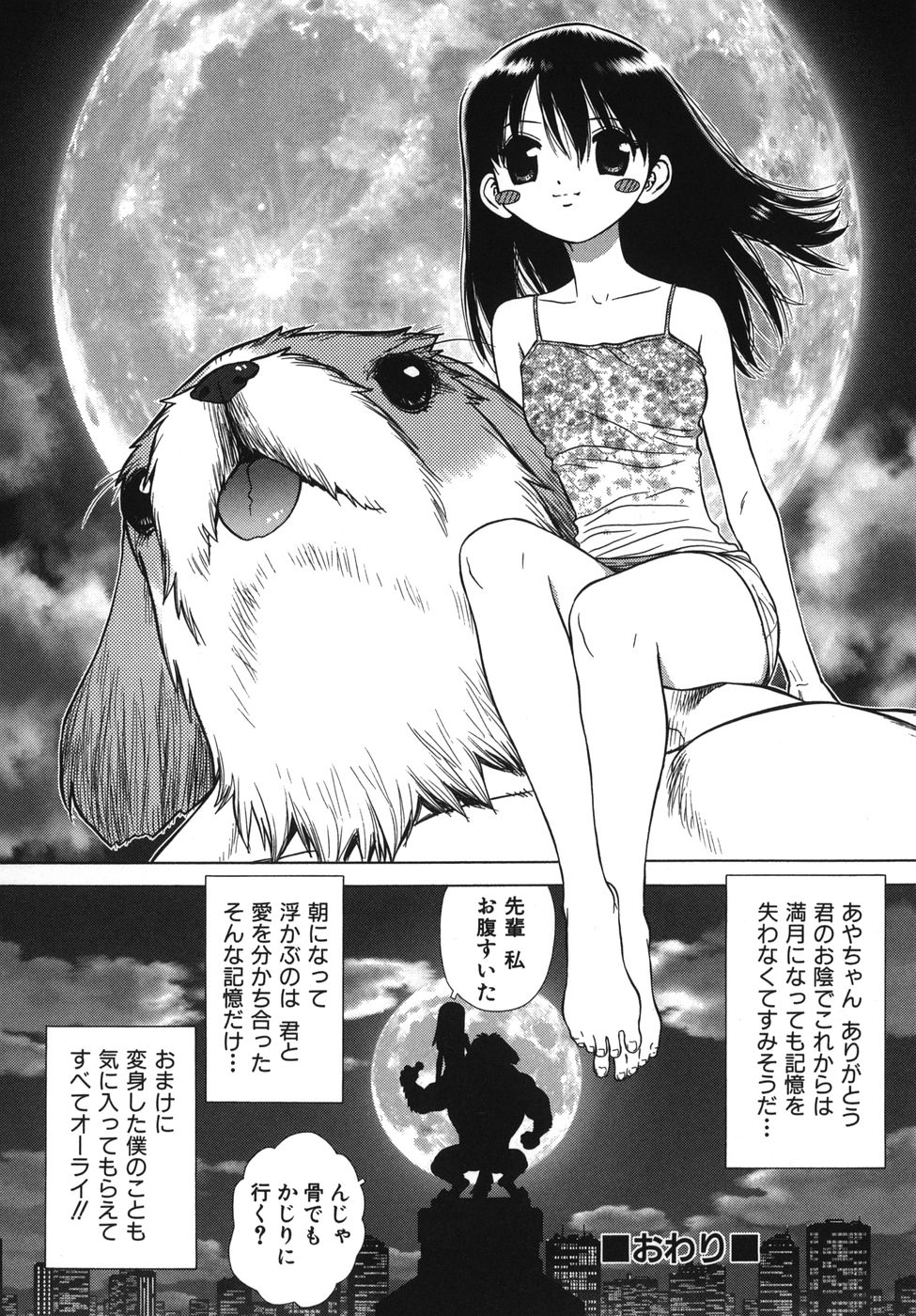 [ボウイチ] ラバーズ イン ウィンターズ