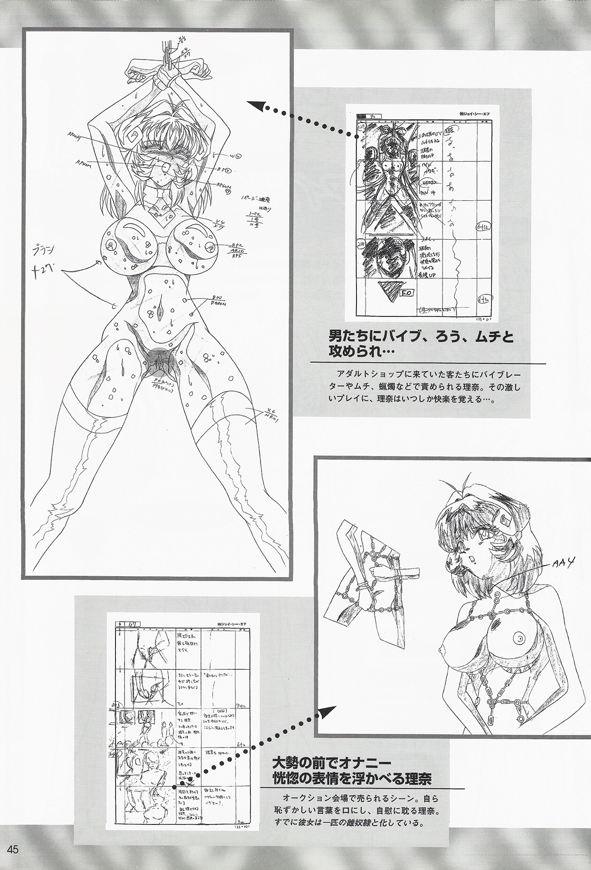 アイドル堕天使理奈 (シュベールMOOK COOL DEVICES Plus) (ムック)