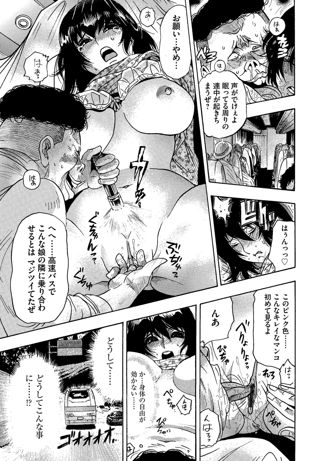 [海王社] サイベリアマニアックス Vol.001 痴漢 [DL版]