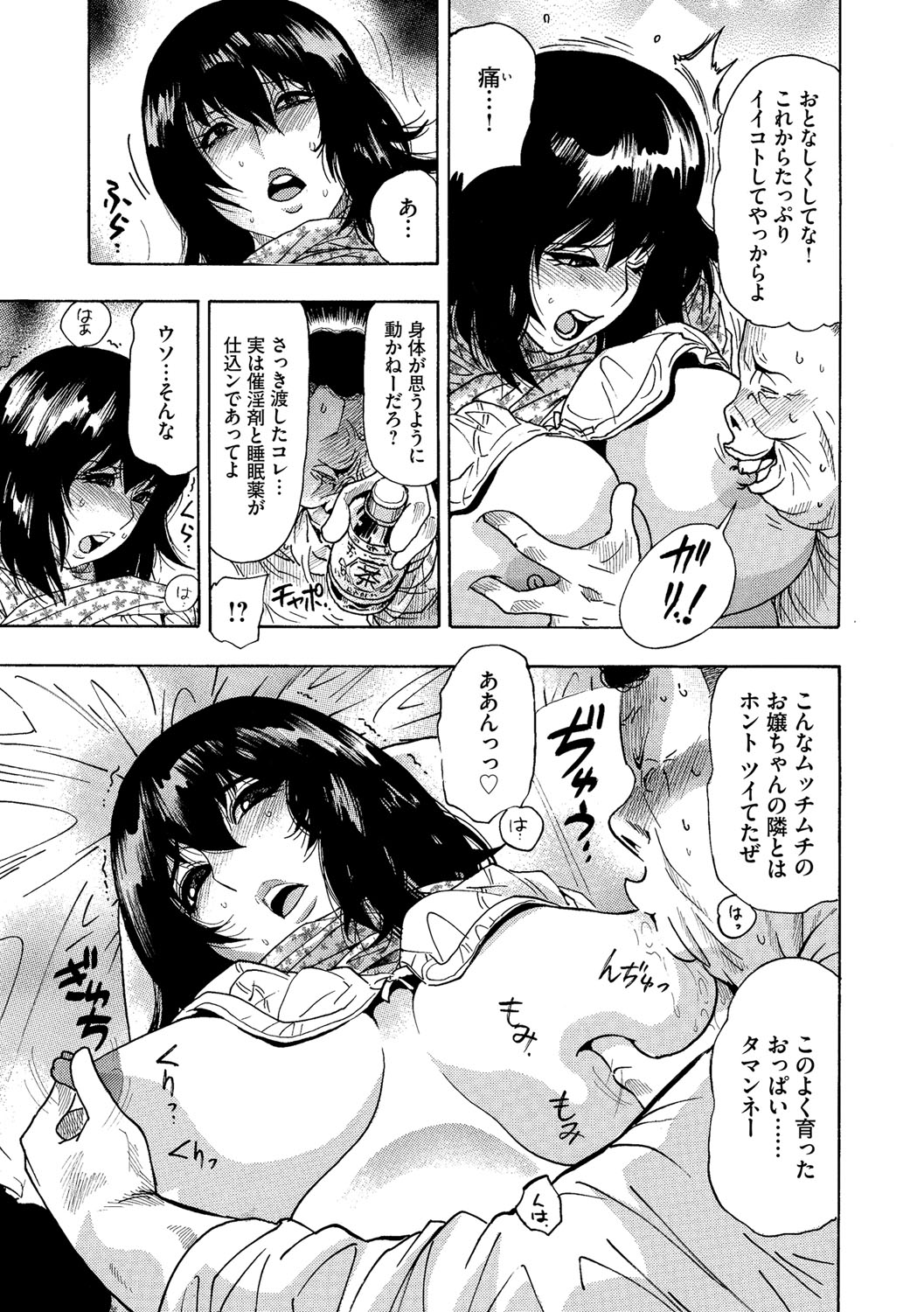 [海王社] サイベリアマニアックス Vol.001 痴漢 [DL版]