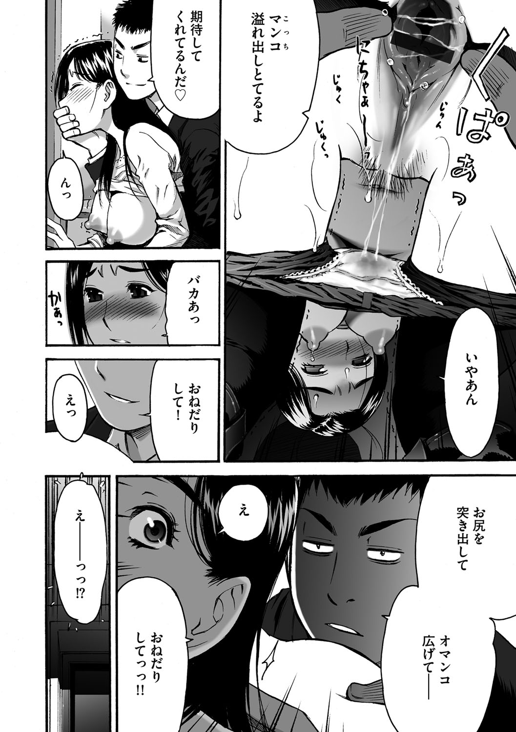 [海王社] サイベリアマニアックス Vol.001 痴漢 [DL版]
