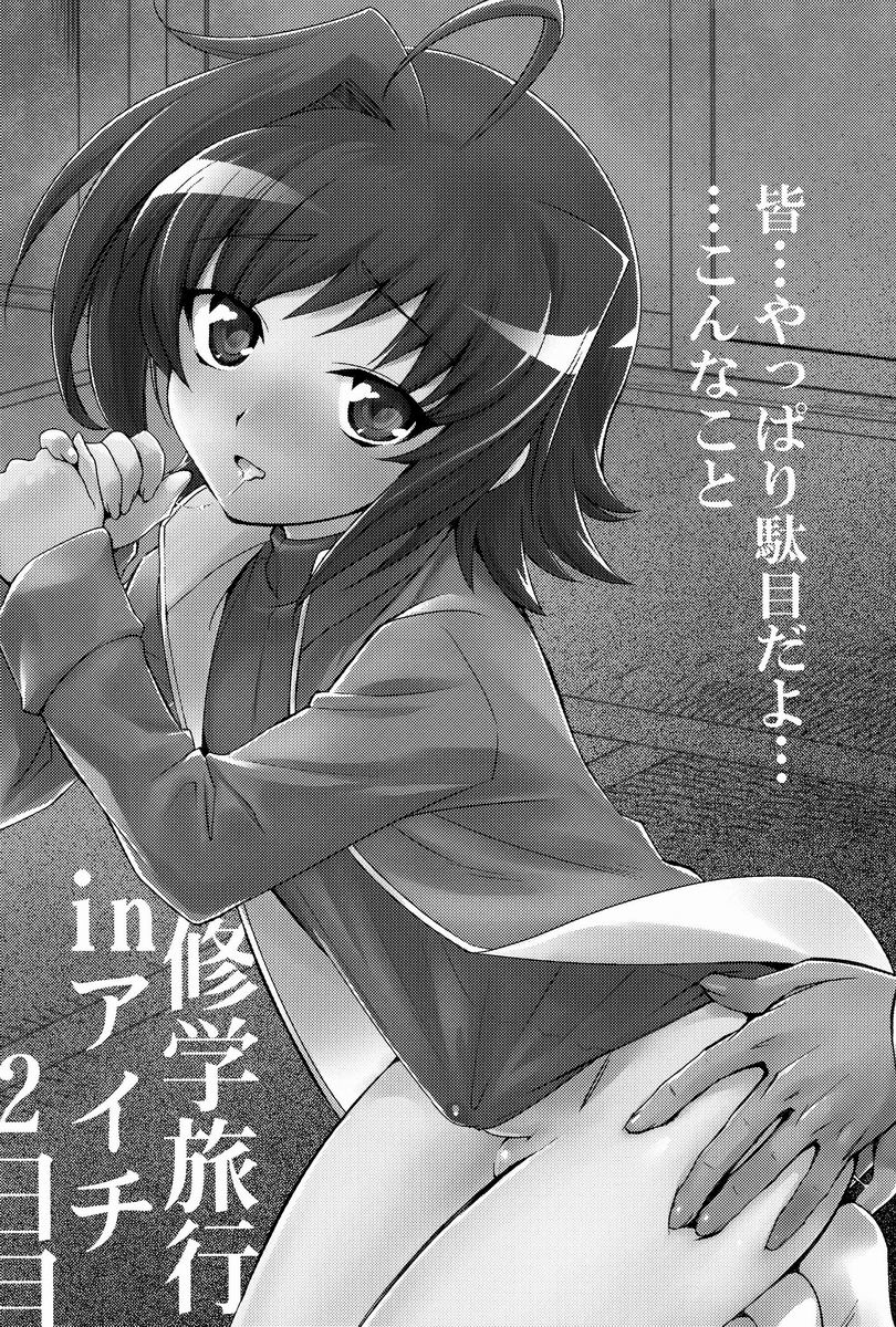 (C82) [きつね (立川ねごろ)] 修学旅行 in アイチ 2-日目 (カードファイト!! ヴァンガード)
