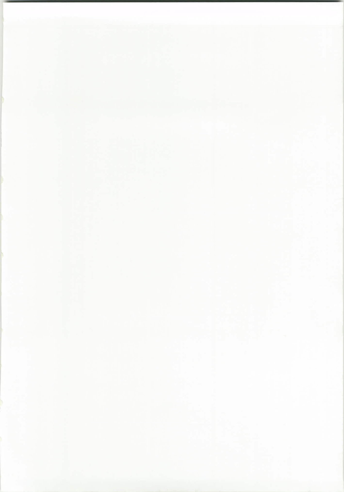 (C82) [スタジオ・ワラビー (蔵王)] 魔法少女アスカ (新世紀エヴァンゲリオン)