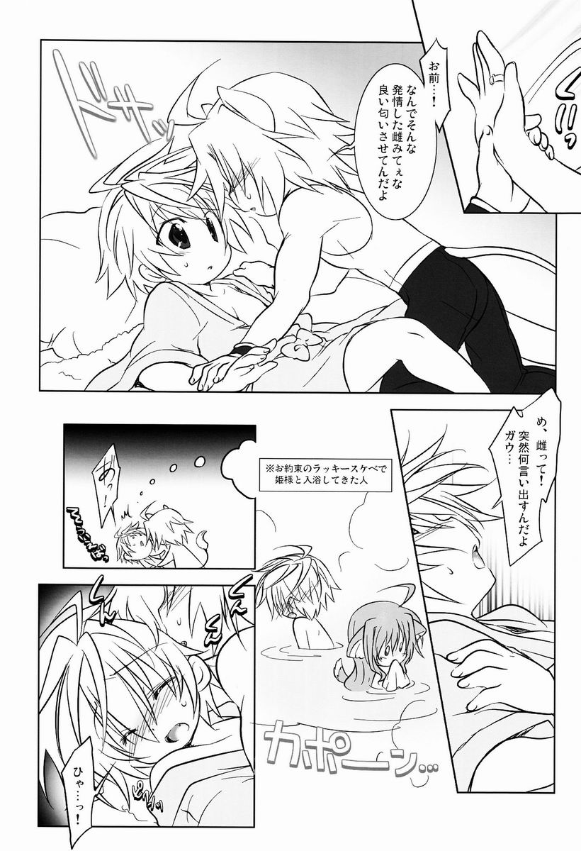 にゃんこい!