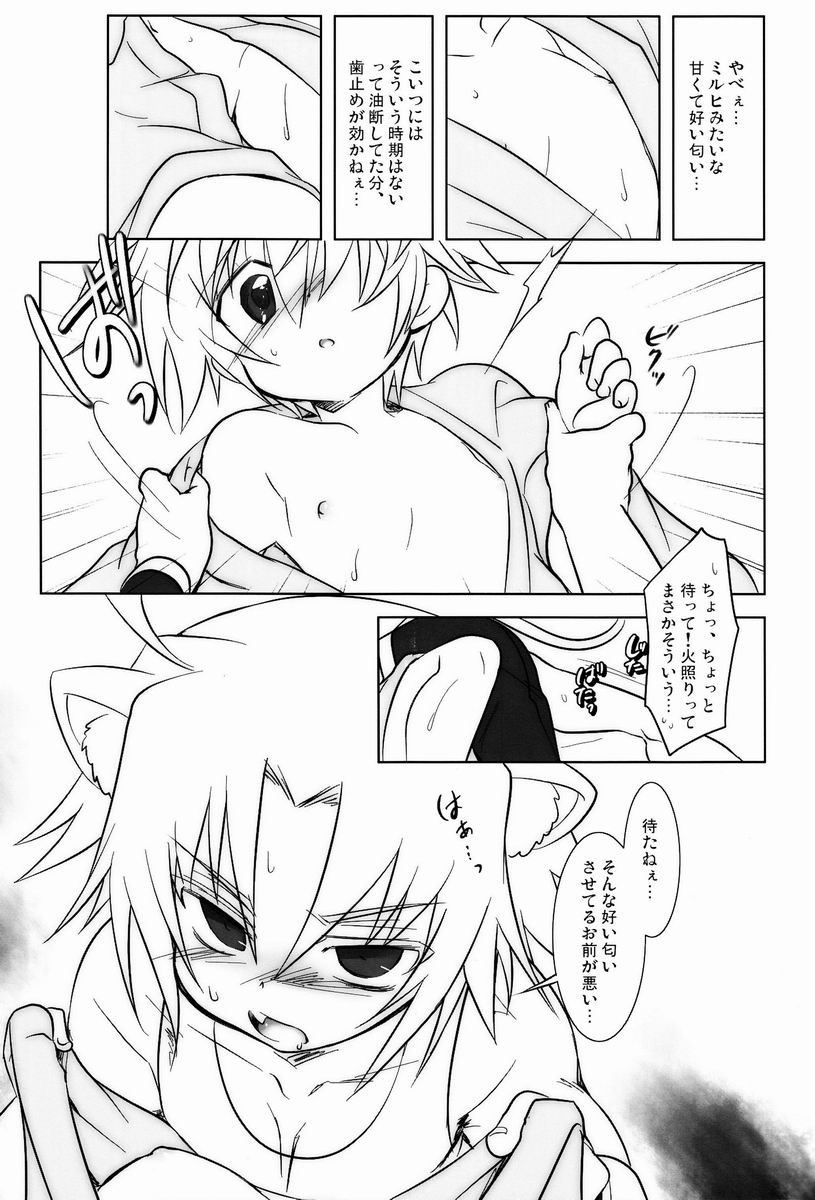 にゃんこい!