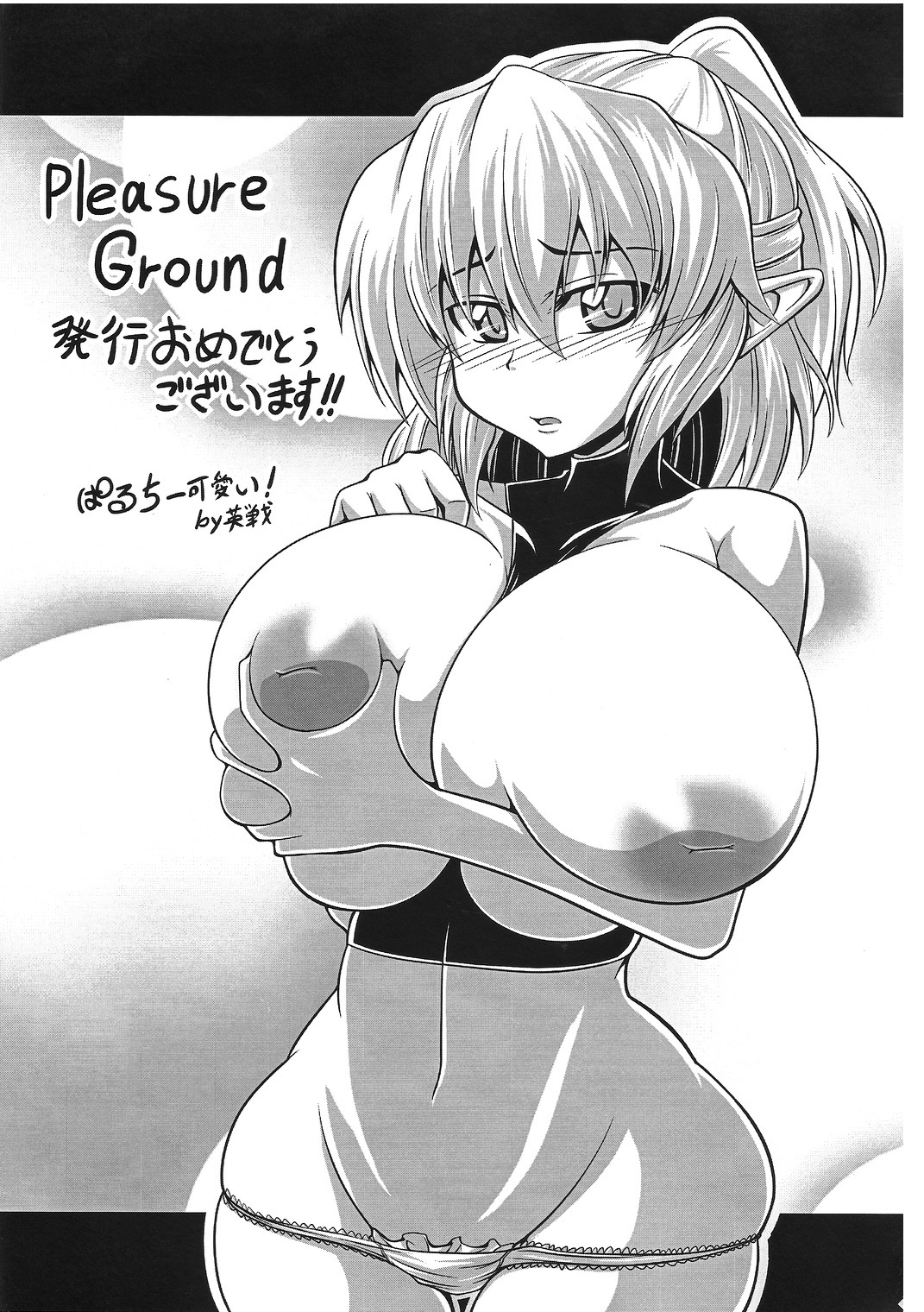 (C78) [幸撃 (大月渉)] Pleasure Ground (東方Project)