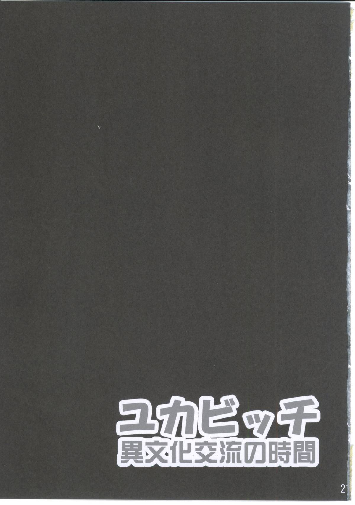 (C81) [GREAT芥 (tokyo)] ユカビッチ 異文化交流の時間 (みなみけ)