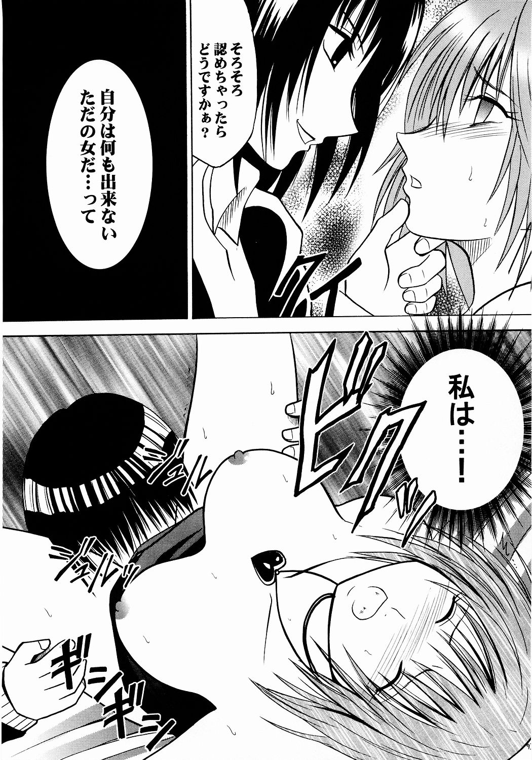 (C65) [クリムゾン (カーマイン)] 侵食総集編 (ブラックキャット)
