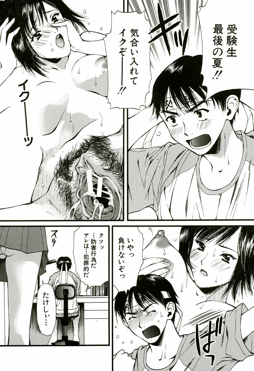[蓬瑠璃] なでしこ