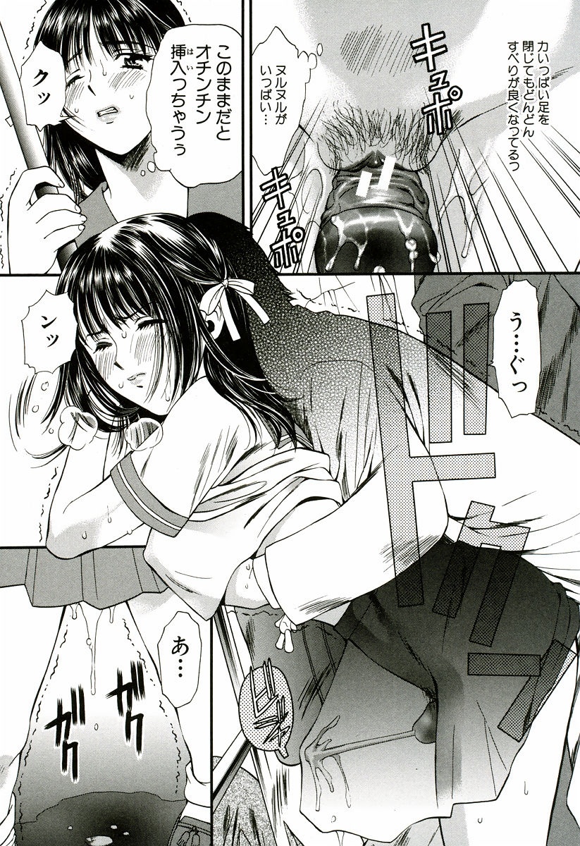 [蓬瑠璃] なでしこ