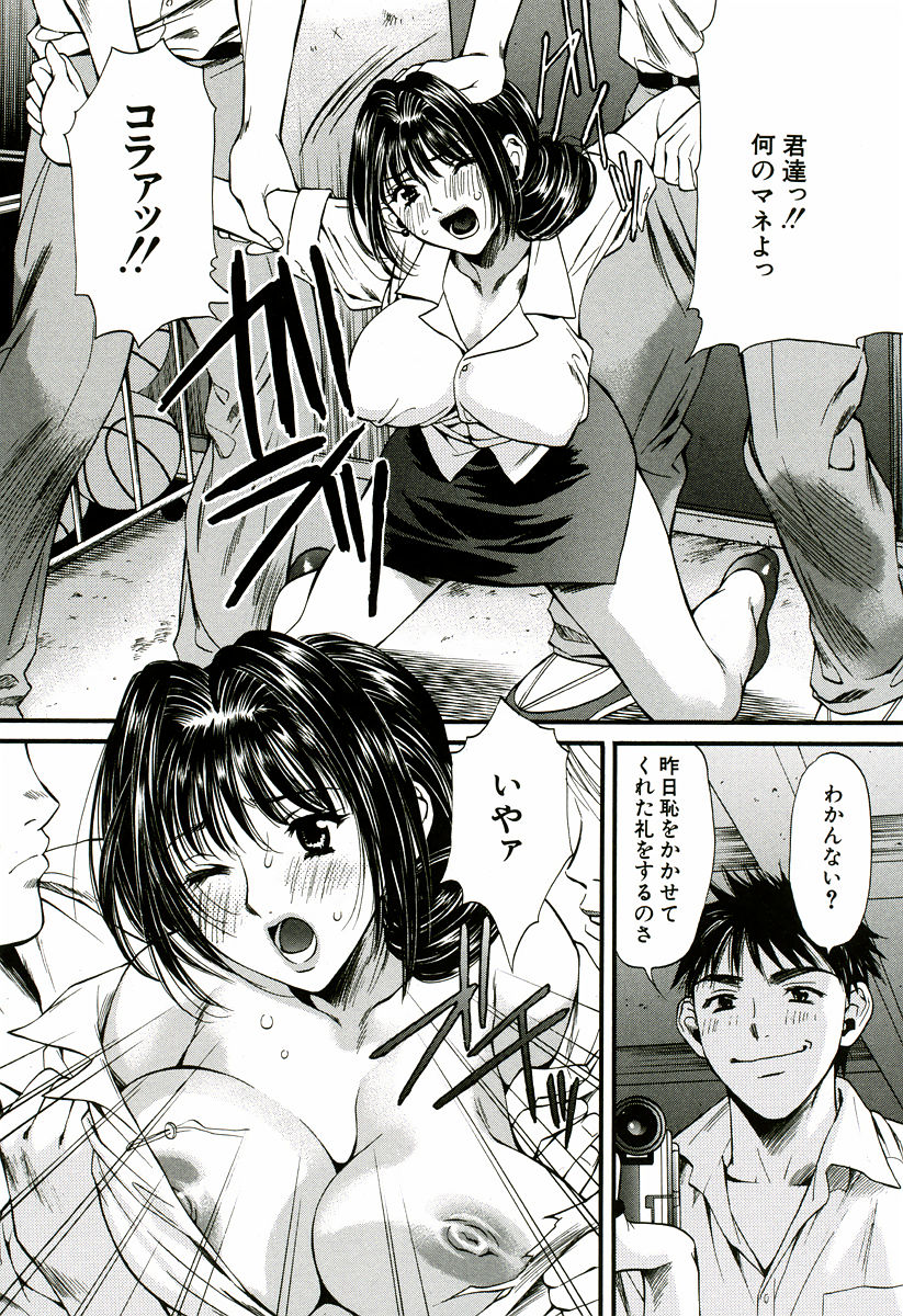 [蓬瑠璃] なでしこ