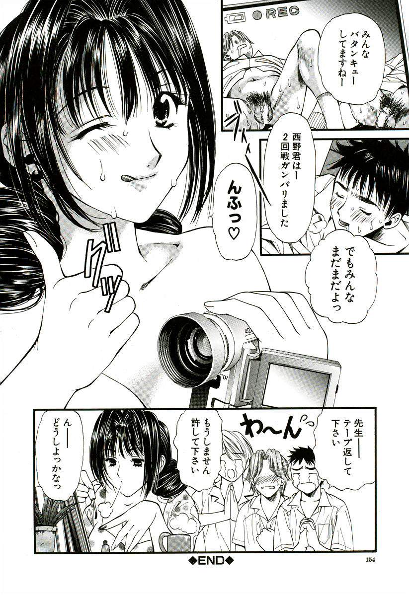 [蓬瑠璃] なでしこ