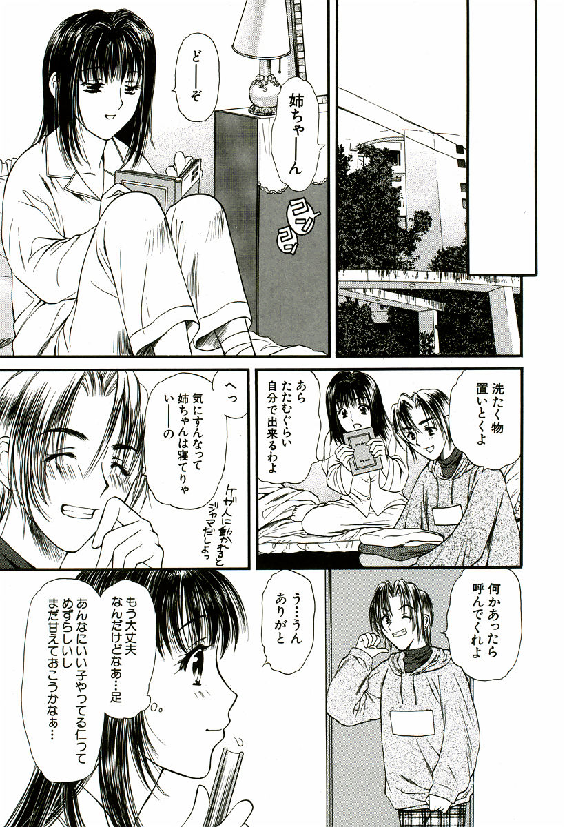 [蓬瑠璃] なでしこ