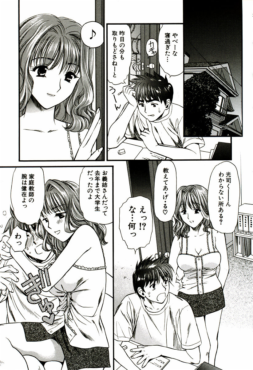 [蓬瑠璃] なでしこ