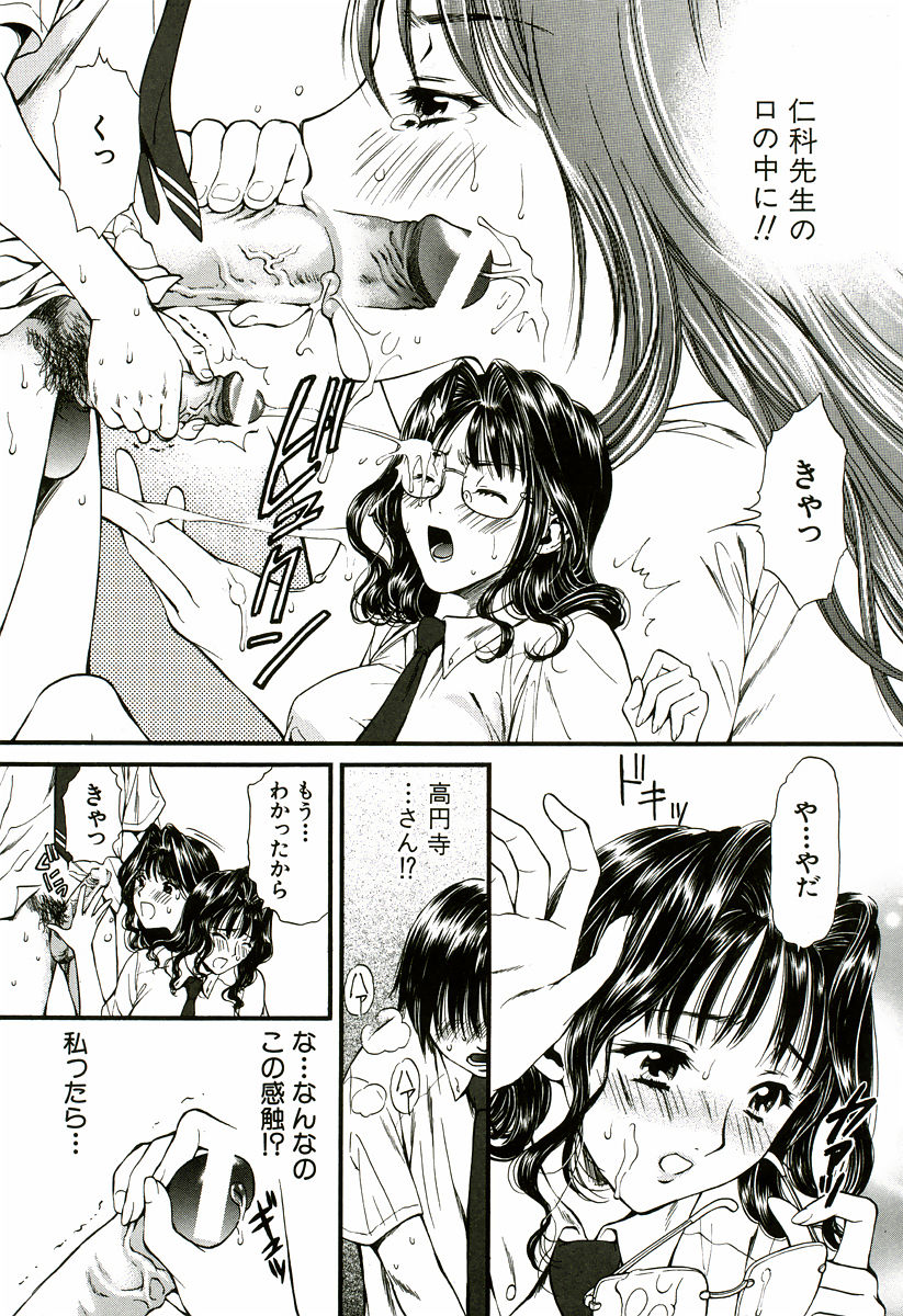 [蓬瑠璃] なでしこ