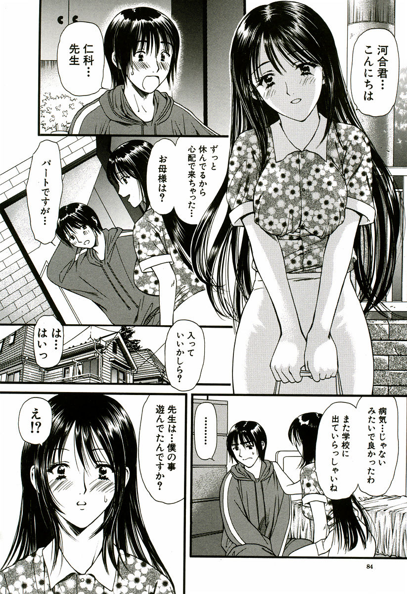 [蓬瑠璃] なでしこ