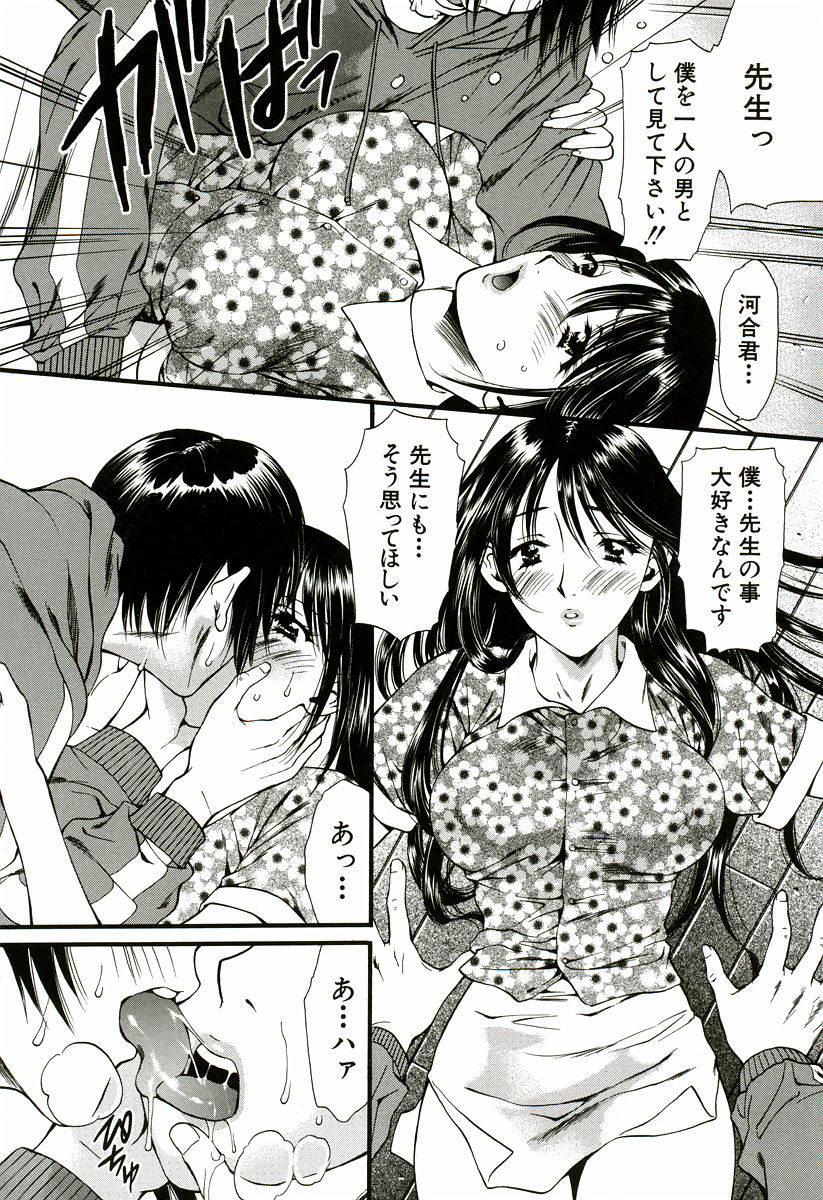 [蓬瑠璃] なでしこ
