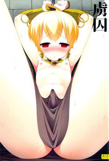 (C82) [C：／／A.D.D／ (桐山マチ)] 虜囚 (ファイナルファンタジータクティクス)