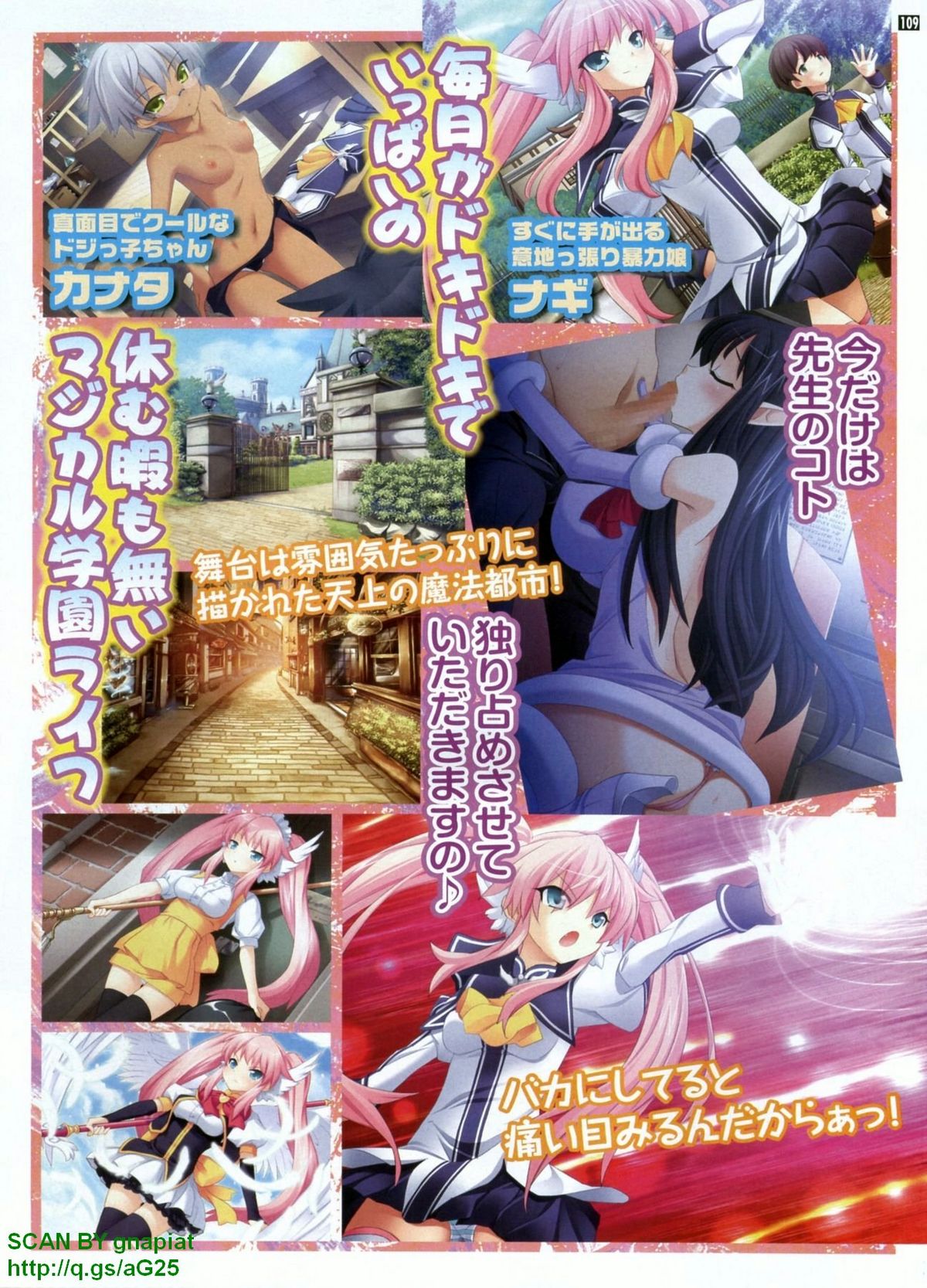 パソコンパラダイス 2009年8月号 Vol.207