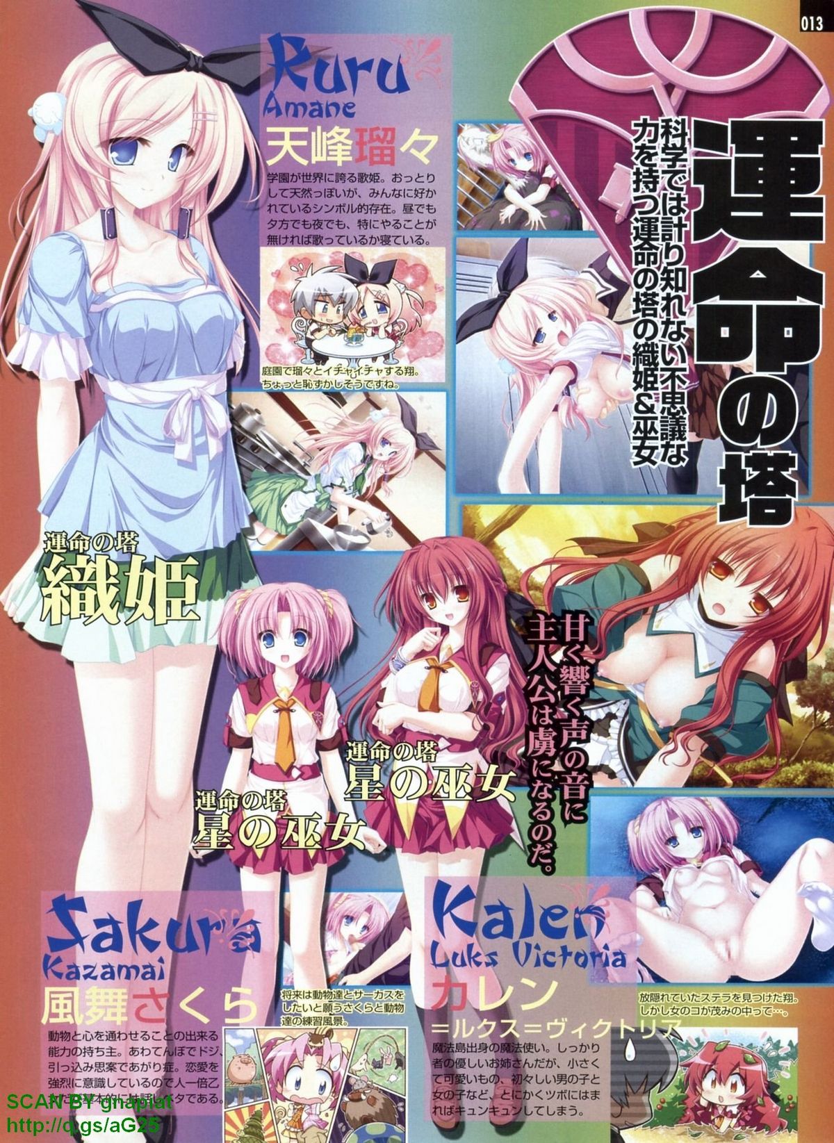 パソコンパラダイス 2009年8月号 Vol.207