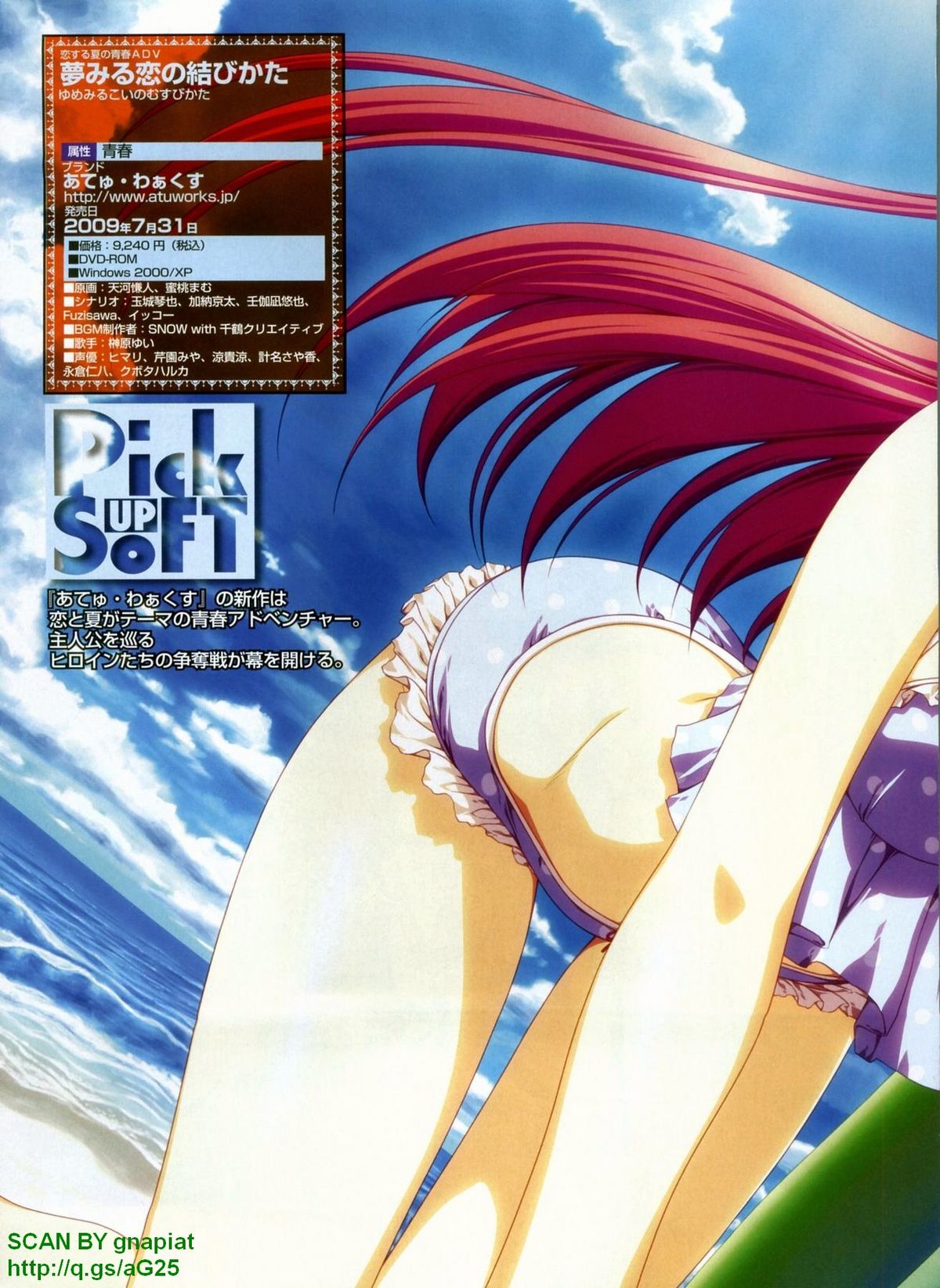 パソコンパラダイス 2009年8月号 Vol.207