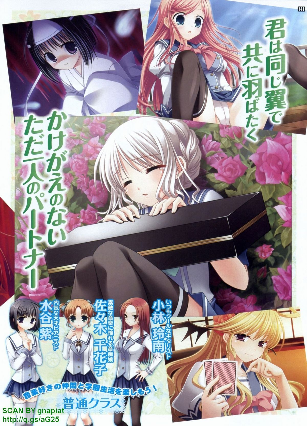 パソコンパラダイス 2009年8月号 Vol.207