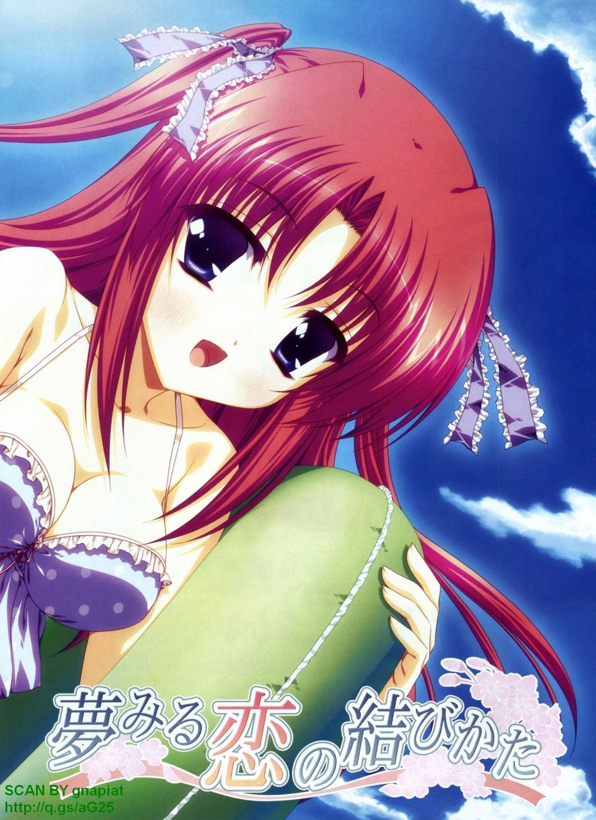 パソコンパラダイス 2009年8月号 Vol.207