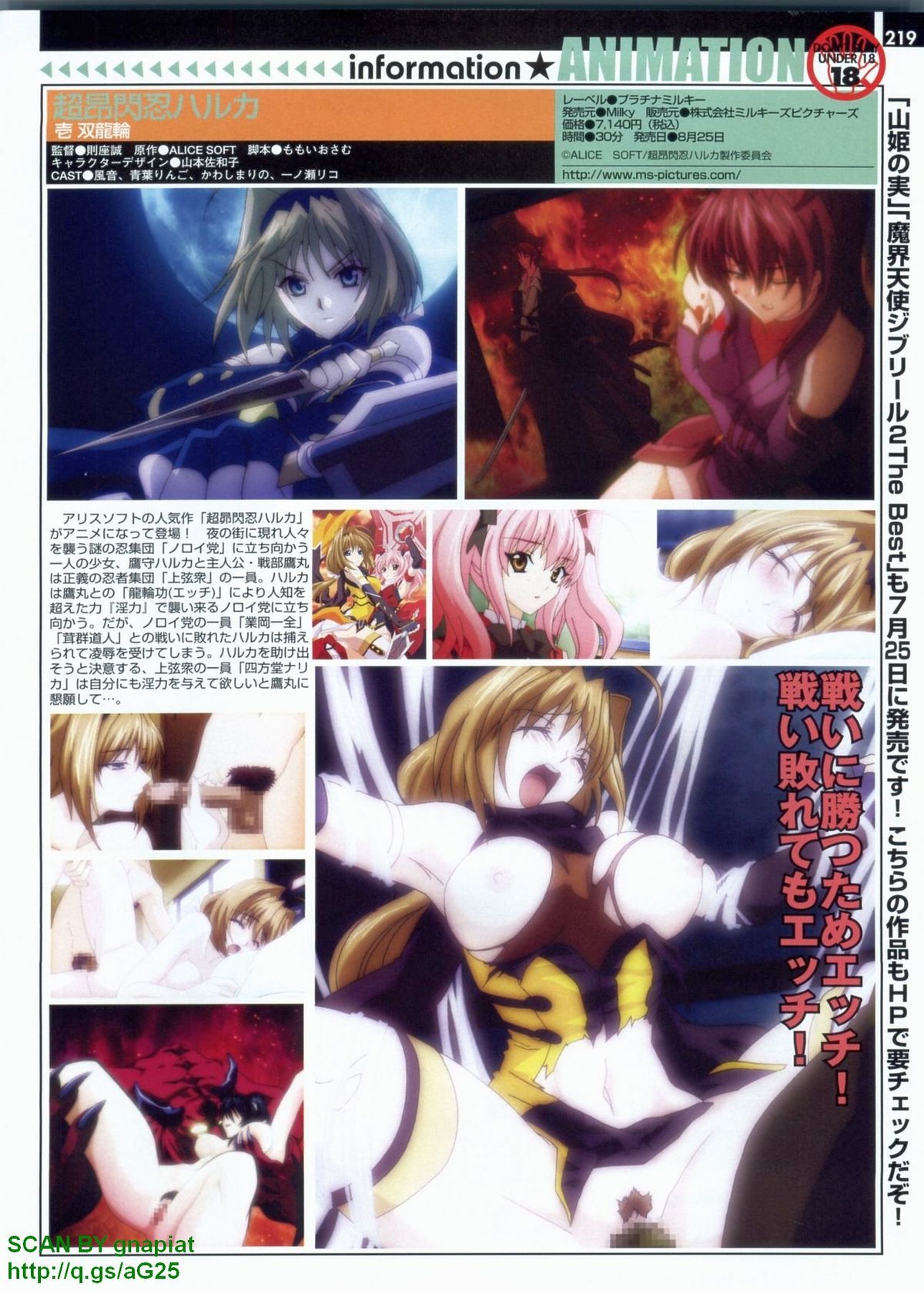 パソコンパラダイス 2009年8月号 Vol.207