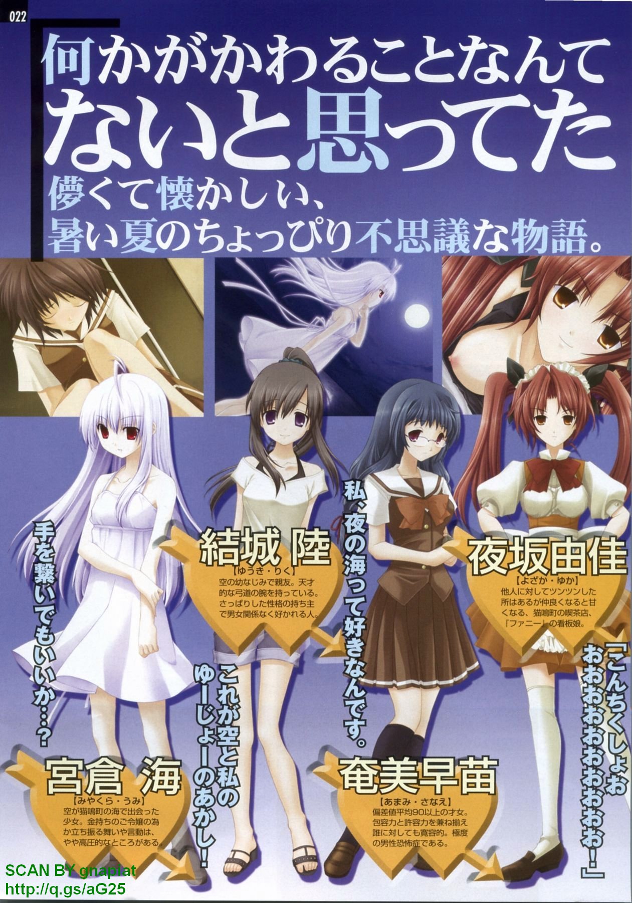 パソコンパラダイス 2009年8月号 Vol.207